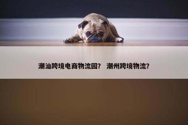 潮汕跨境电商物流园？ 潮州跨境物流？