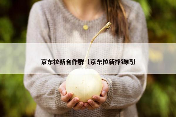 京东拉新合作群（京东拉新挣钱吗）