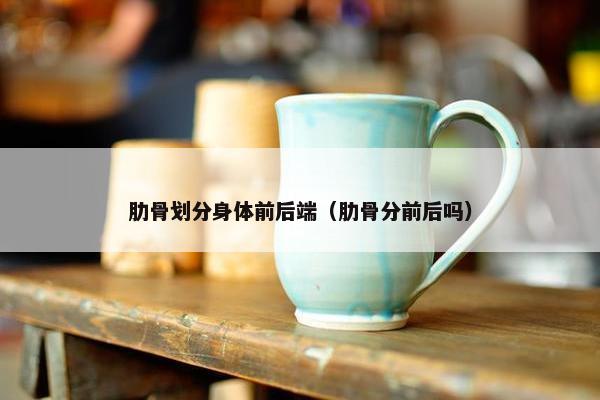 肋骨划分身体前后端（肋骨分前后吗）