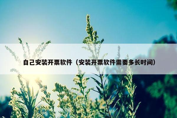 自己安装开票软件（安装开票软件需要多长时间）