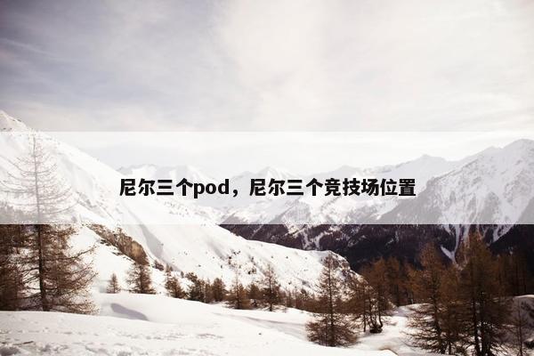 尼尔三个pod，尼尔三个竞技场位置