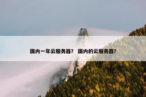 国内一年云服务器？ 国内的云服务器？