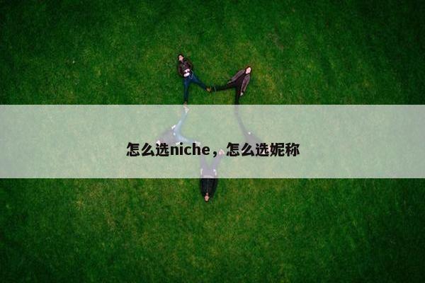 怎么选niche，怎么选妮称