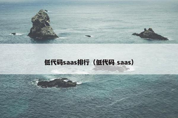 低代码saas排行（低代码 saas）