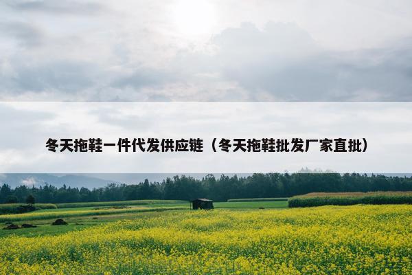 冬天拖鞋一件代发供应链（冬天拖鞋批发厂家直批）