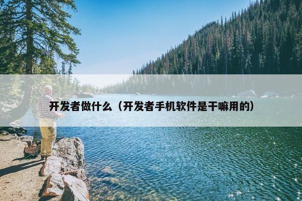 开发者做什么（开发者手机软件是干嘛用的）