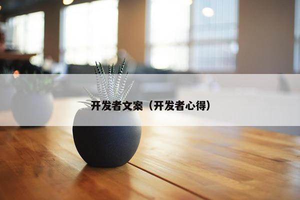 开发者文案（开发者心得）