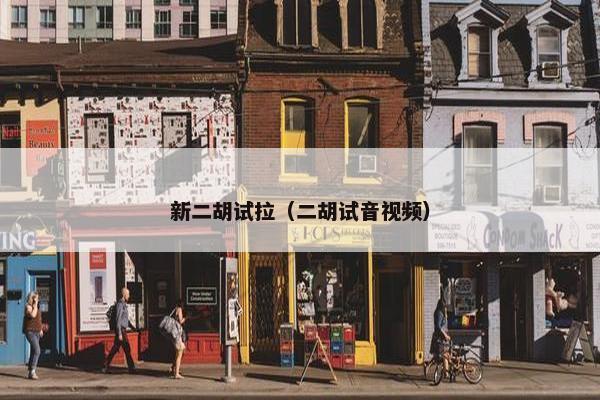 新二胡试拉（二胡试音视频）