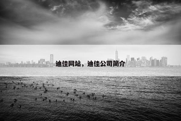 迪佳网站，迪佳公司简介