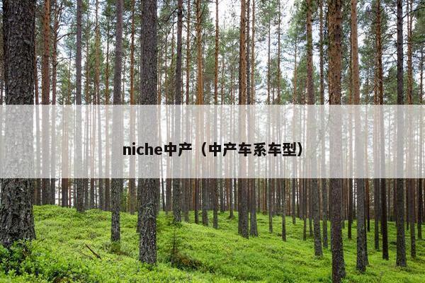 niche中产（中产车系车型）