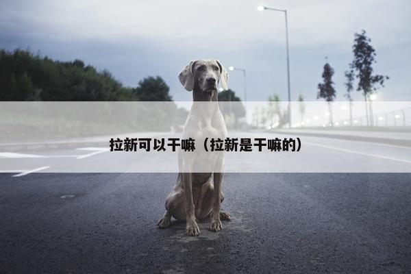 拉新可以干嘛（拉新是干嘛的）
