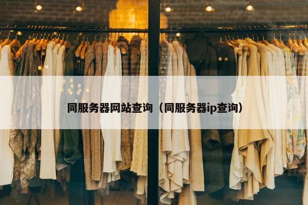同服务器网站查询（同服务器ip查询）