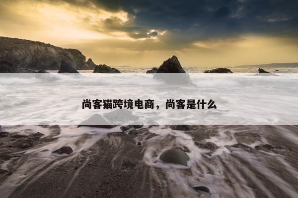尚客猫跨境电商，尚客是什么