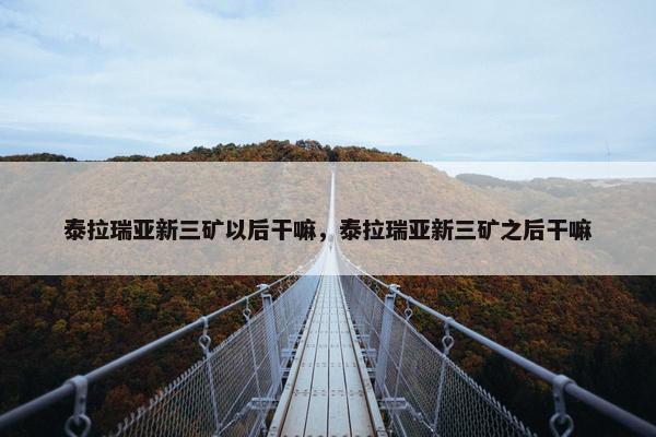 泰拉瑞亚新三矿以后干嘛，泰拉瑞亚新三矿之后干嘛