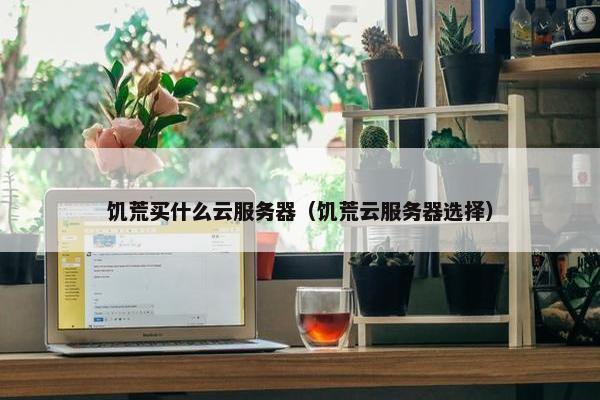 饥荒买什么云服务器（饥荒云服务器选择）