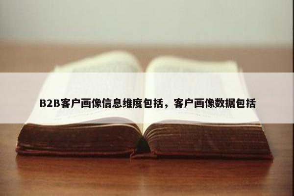 B2B客户画像信息维度包括，客户画像数据包括