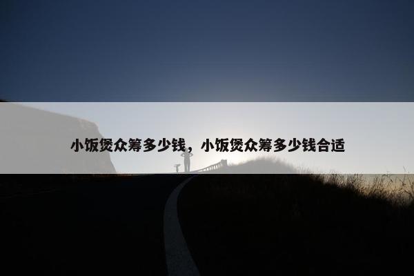小饭煲众筹多少钱，小饭煲众筹多少钱合适