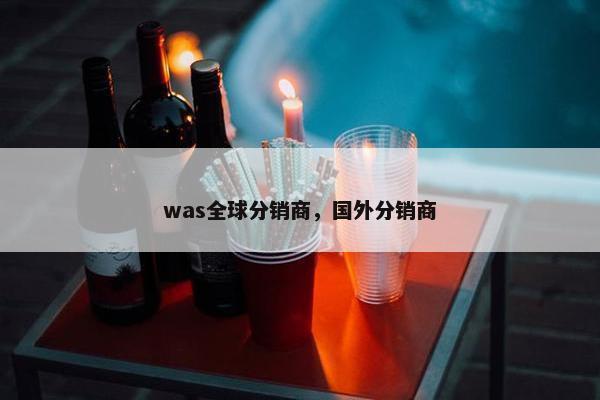 was全球分销商，国外分销商