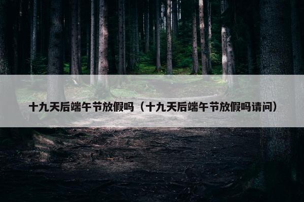 十九天后端午节放假吗（十九天后端午节放假吗请问）