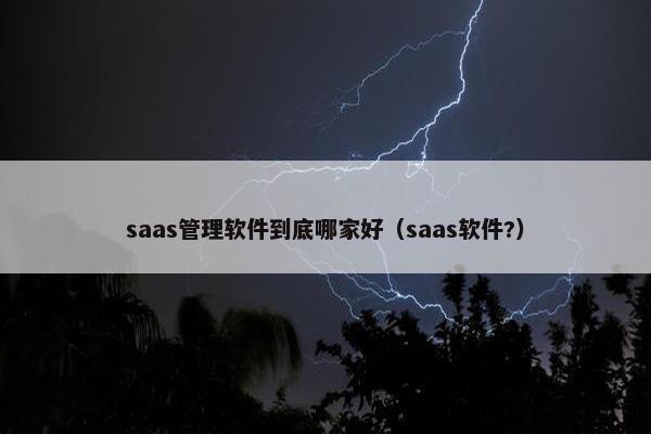 saas管理软件到底哪家好（saas软件?）