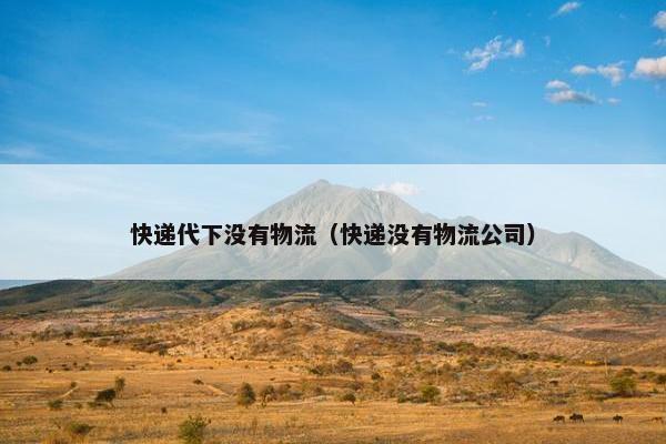快递代下没有物流（快递没有物流公司）