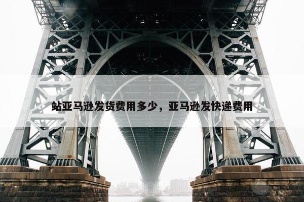 站亚马逊发货费用多少，亚马逊发快递费用