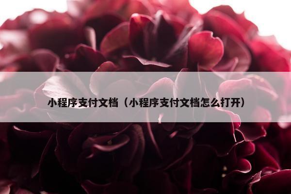 小程序支付文档（小程序支付文档怎么打开）