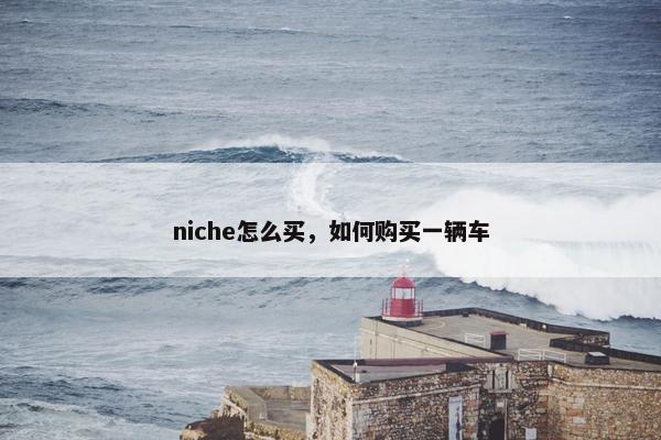 niche怎么买，如何购买一辆车