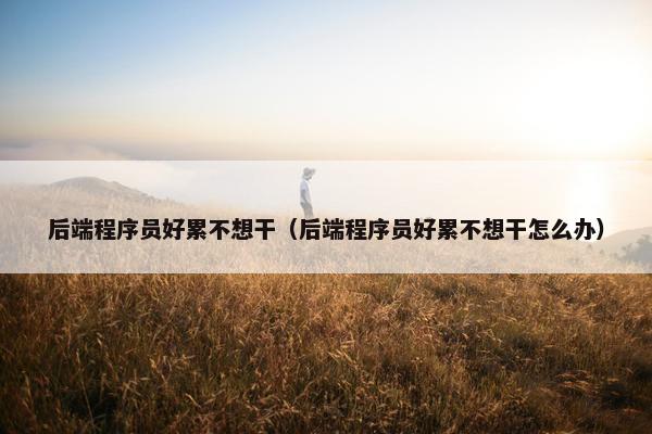 后端程序员好累不想干（后端程序员好累不想干怎么办）