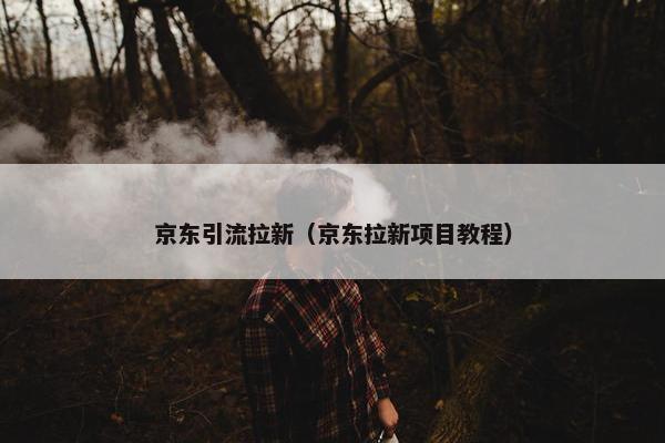 京东引流拉新（京东拉新项目教程）