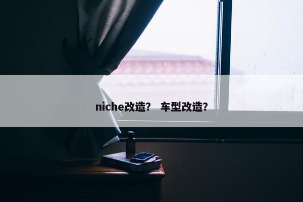 niche改造？ 车型改造？
