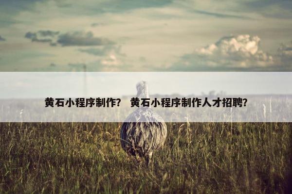 黄石小程序制作？ 黄石小程序制作人才招聘？