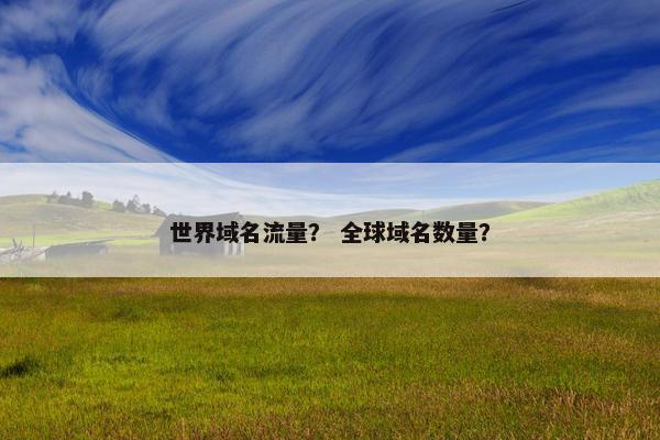 世界域名流量？ 全球域名数量？