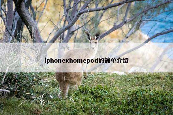iphonexhomepod的简单介绍
