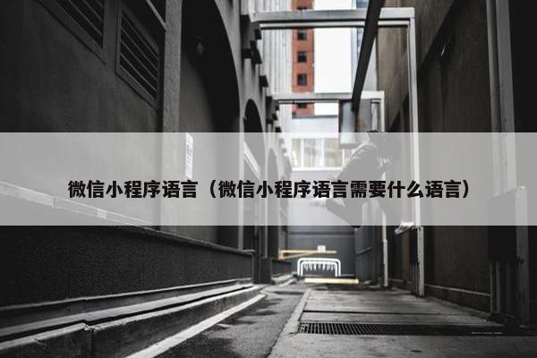 微信小程序语言（微信小程序语言需要什么语言）