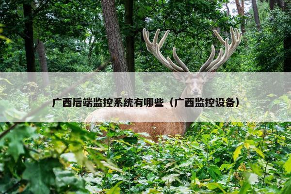 广西后端监控系统有哪些（广西监控设备）