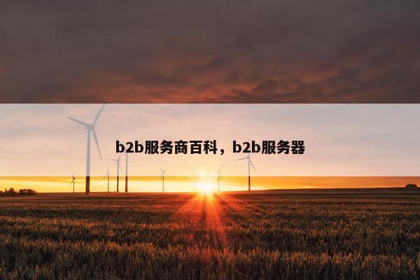 b2b服务商百科，b2b服务器