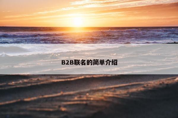B2B联名的简单介绍
