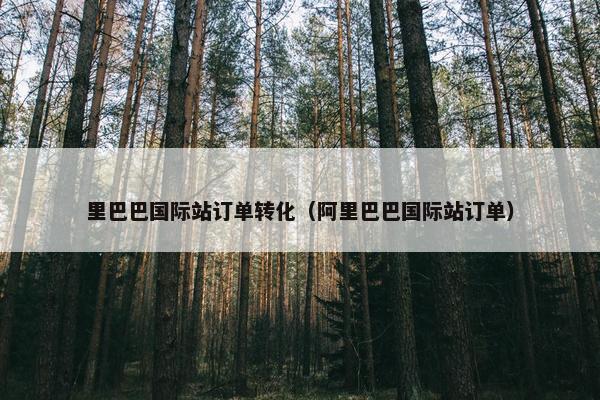 里巴巴国际站订单转化（阿里巴巴国际站订单）