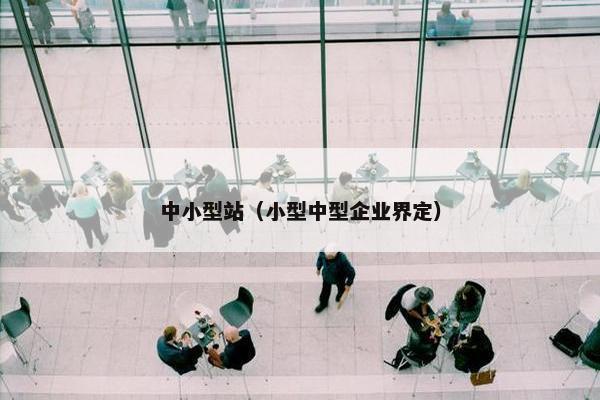 中小型站（小型中型企业界定）