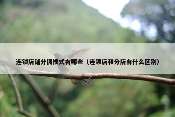 连锁店铺分佣模式有哪些（连锁店和分店有什么区别）