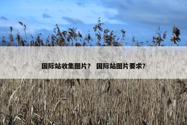 国际站收集图片？ 国际站图片要求？