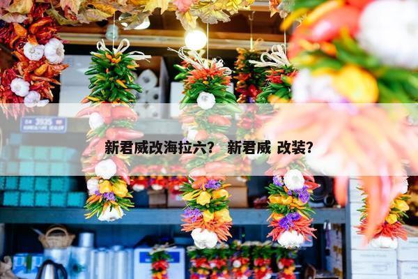 新君威改海拉六？ 新君威 改装？