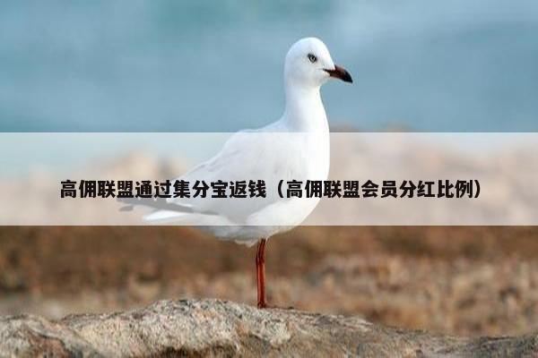 高佣联盟通过集分宝返钱（高佣联盟会员分红比例）
