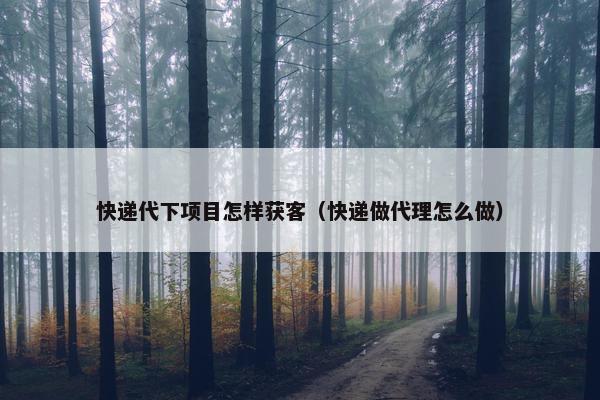快递代下项目怎样获客（快递做代理怎么做）