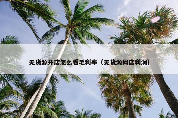 无货源开店怎么看毛利率（无货源网店利润）