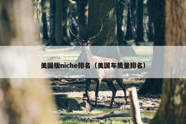 美国版niche排名（美国车质量排名）