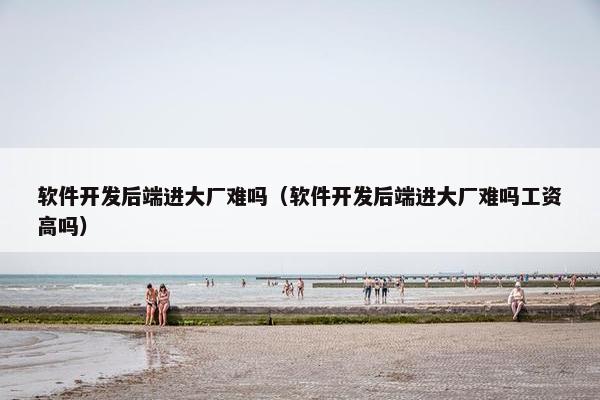 软件开发后端进大厂难吗（软件开发后端进大厂难吗工资高吗）