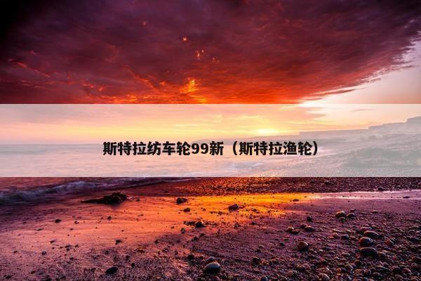 斯特拉纺车轮99新（斯特拉渔轮）