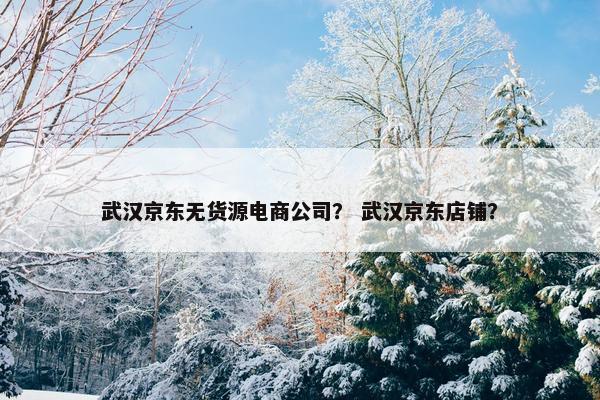 武汉京东无货源电商公司？ 武汉京东店铺？
